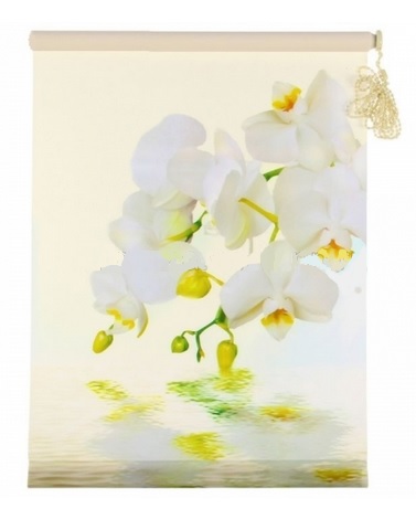 Рулонные шторы Орхидея 60*160 Бежевый