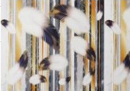 Screenshot_62