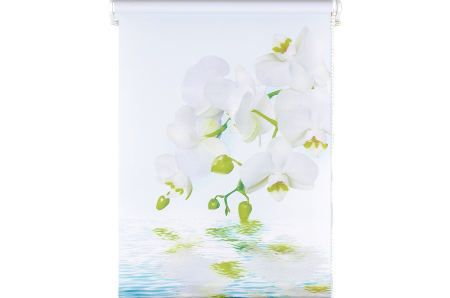 item_66405-Photoroom